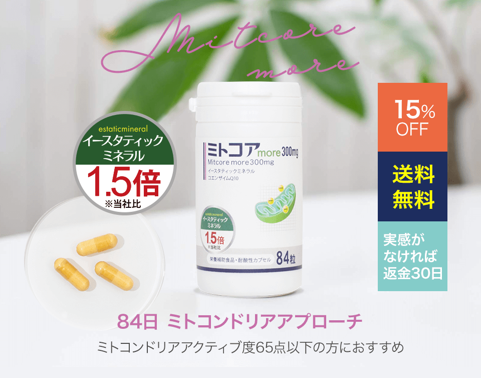 ミトコア 300mg イースタティックミネラル健康食品 - dso-ilb.si