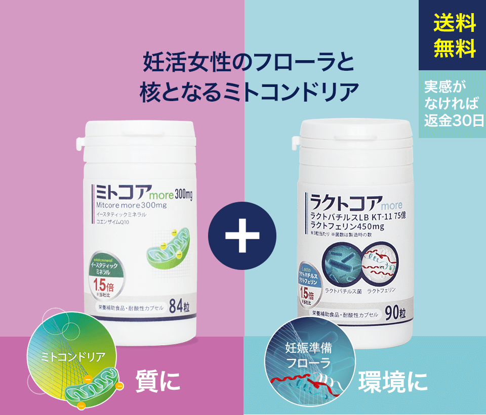 ミトコア300mg イースタティックミネラル配合｜未来ヘルスケア